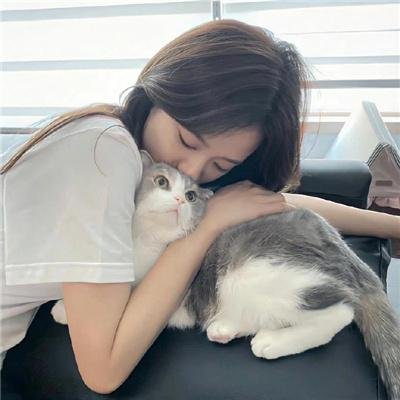 完美家伙